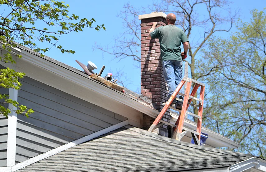 Chimney & Fireplace Inspections Services in Redmond, WA